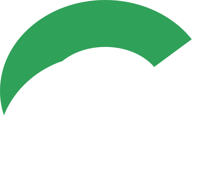 GINX Logo